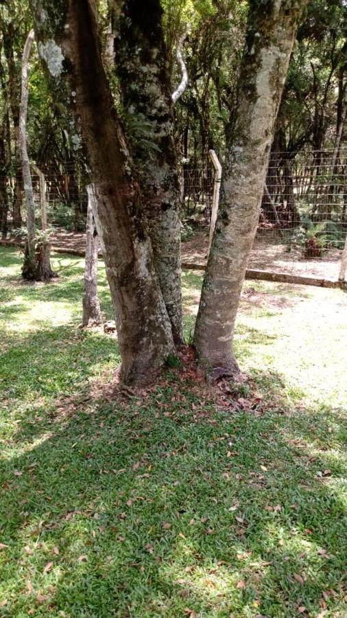 Residenciais Encantos Da Natureza Canela Eksteriør bilde